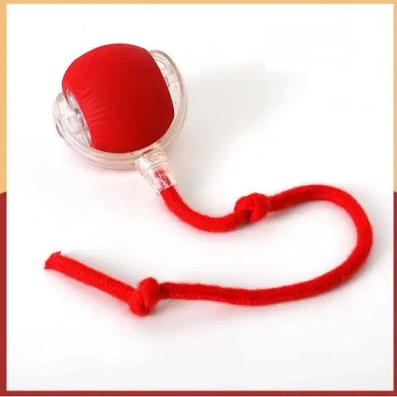 Interactive Rolling Ball Cat Toy with USB Charging Teasing Stick for All Breeds Bite Resistant anti Boredom Pet Supplies Safe Materials