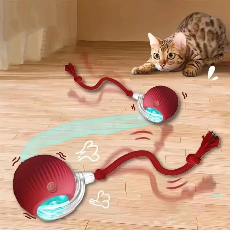 Interactive Rolling Ball Cat Toy with USB Charging Teasing Stick for All Breeds Bite Resistant anti Boredom Pet Supplies Safe Materials