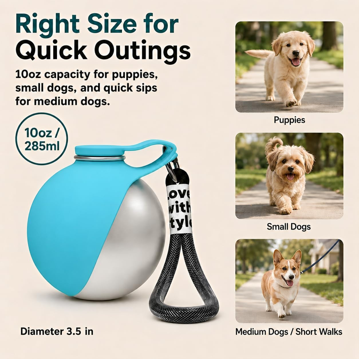 2 in 1 Dog Water Bottle Portable with Bowl, 10Oz Stainless Steel | Leakproof When Closed / Attached Silicone Bowl / Easy to Rinse / for Puppies, Small Dogs & Medium Dogs on Short Walks