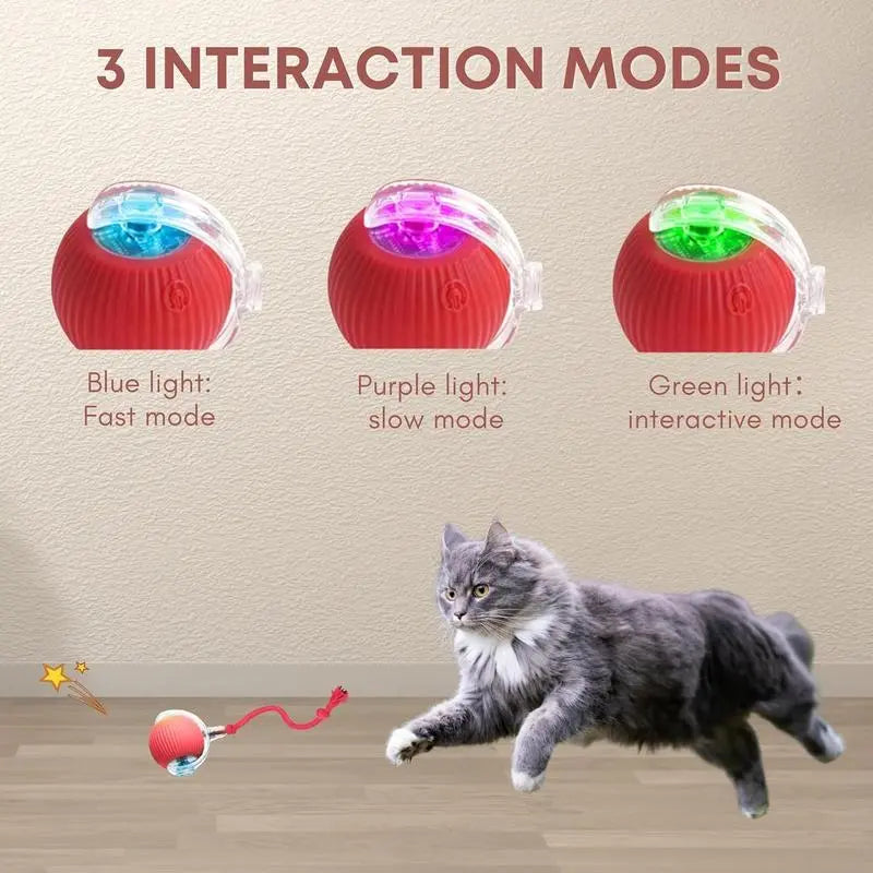 Interactive Rolling Ball Cat Toy with USB Charging Teasing Stick for All Breeds Bite Resistant anti Boredom Pet Supplies Safe Materials